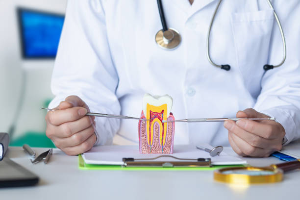 Best Cosmetic Emergency Dentistry in Okemos, MI